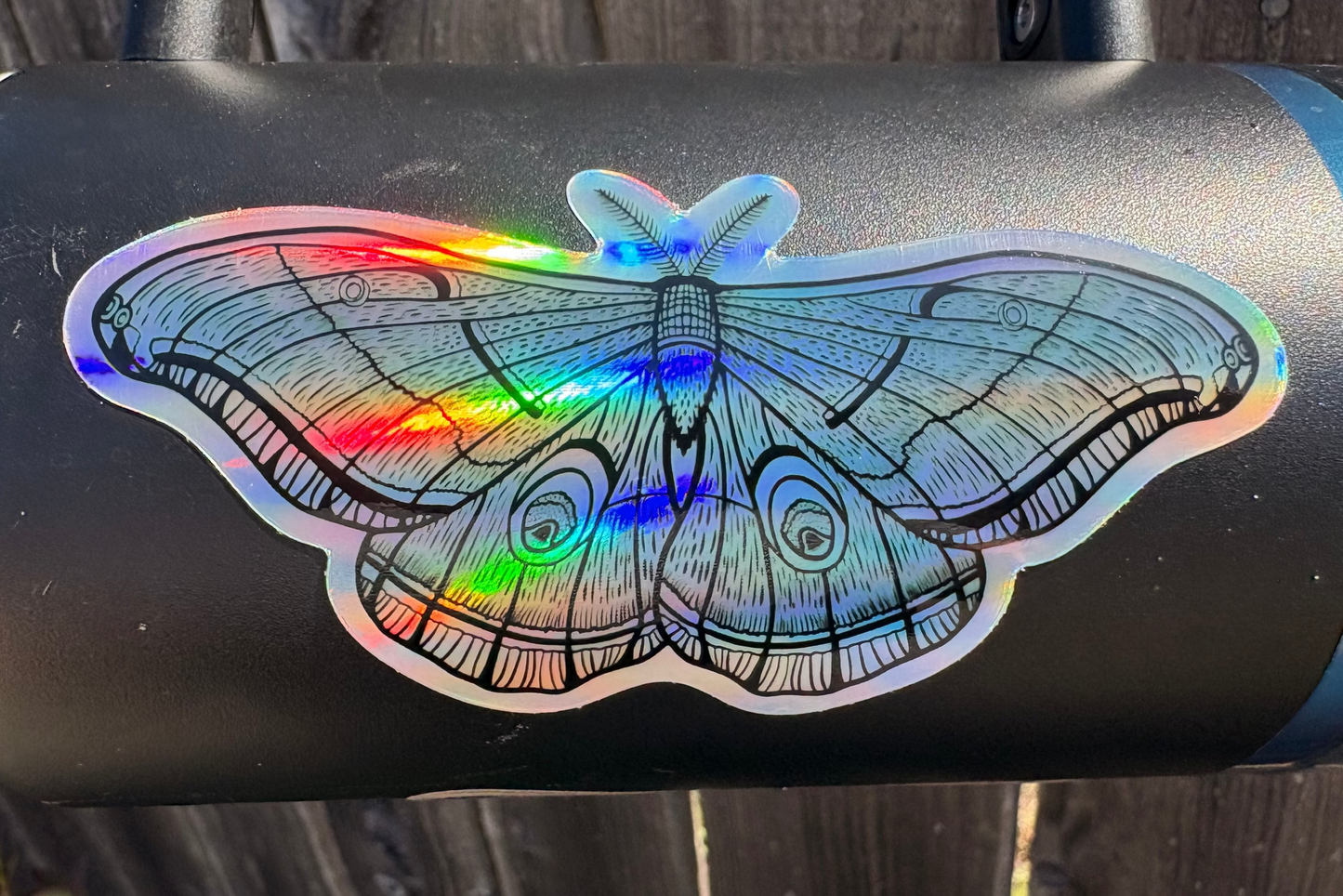Moth Holographic Sticker