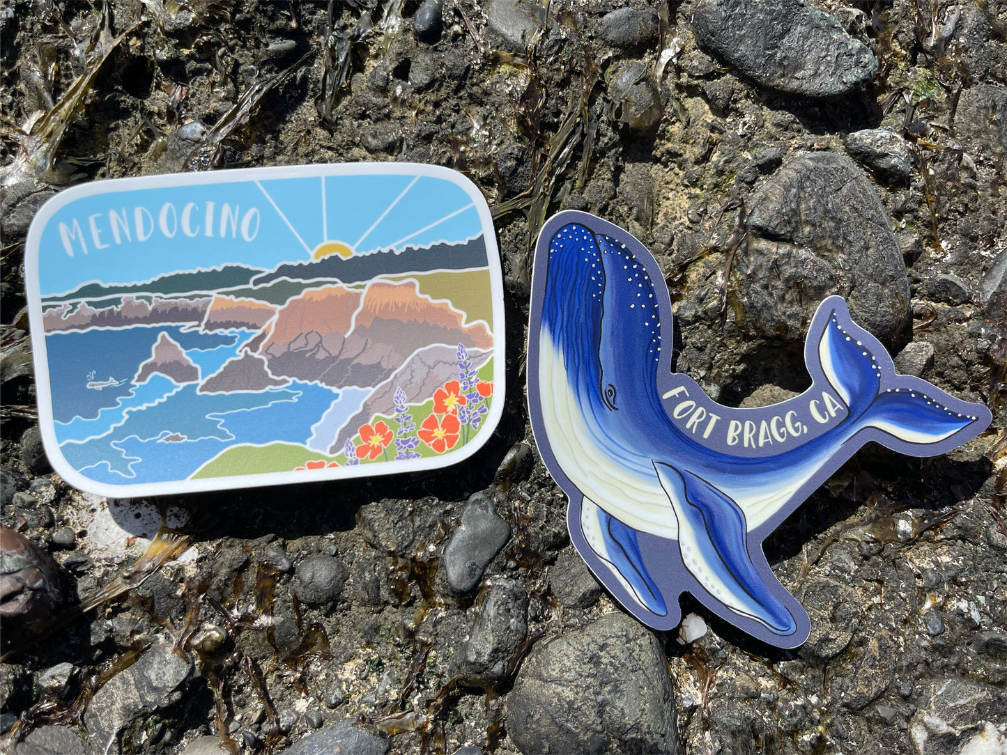 Mendocino Sticker