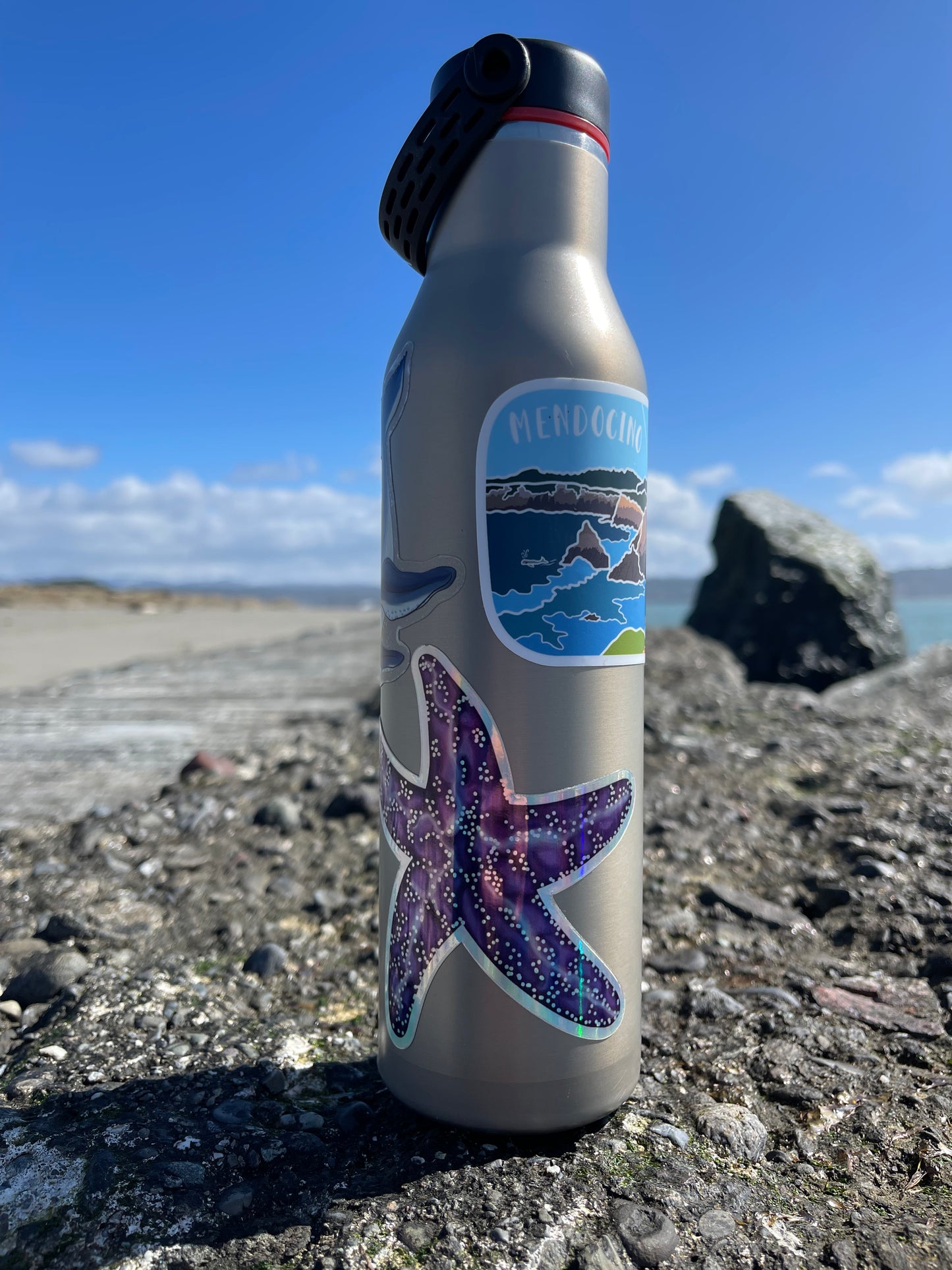 Purple Starfish Sticker