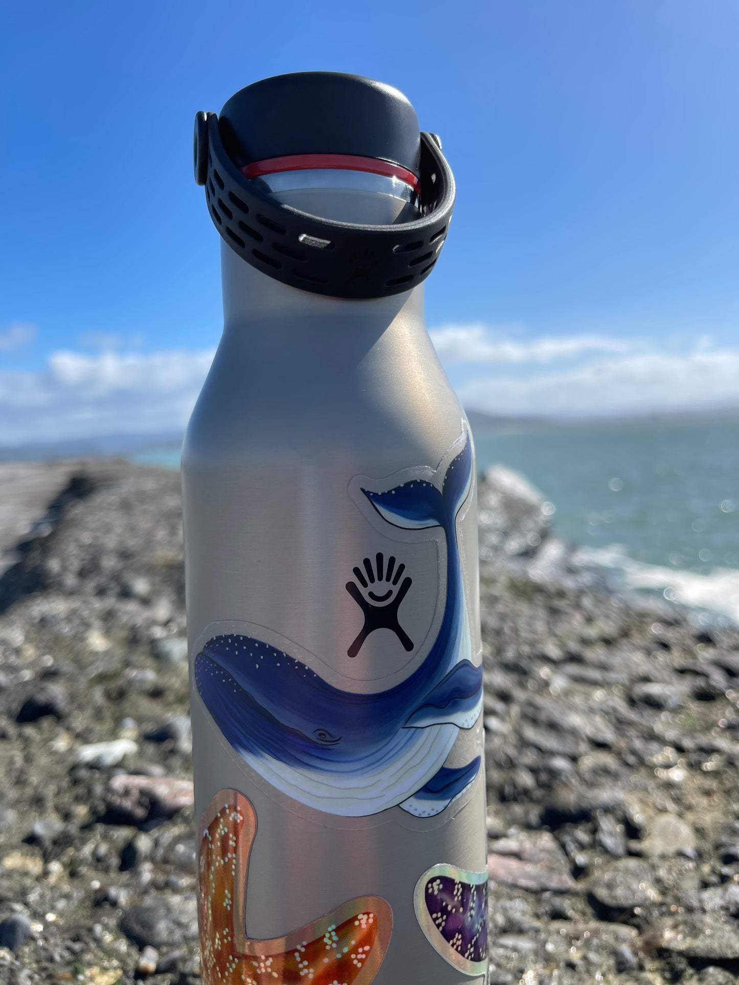 Humpback Whale Clear Sticker