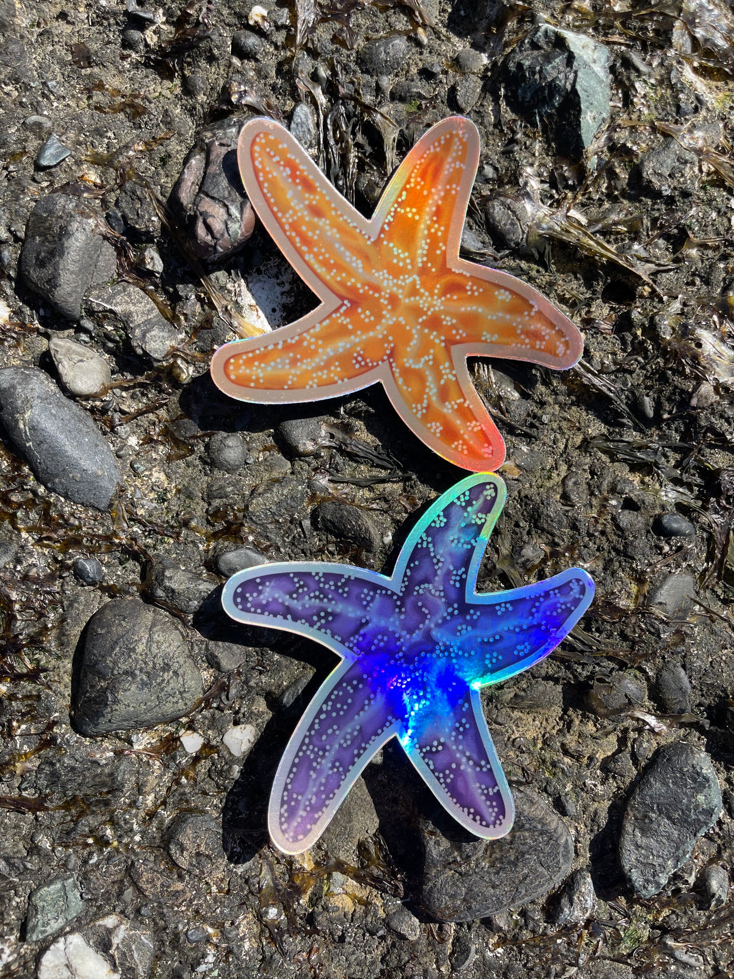 Orange Holographic Starfish Sticker