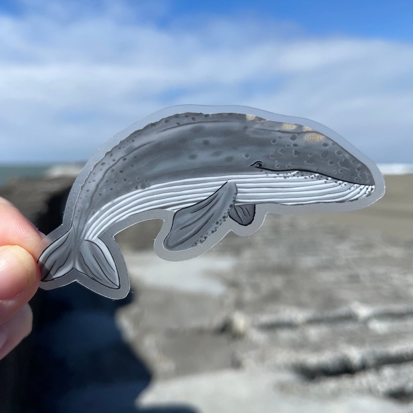 Grey Whale Clear Sticker