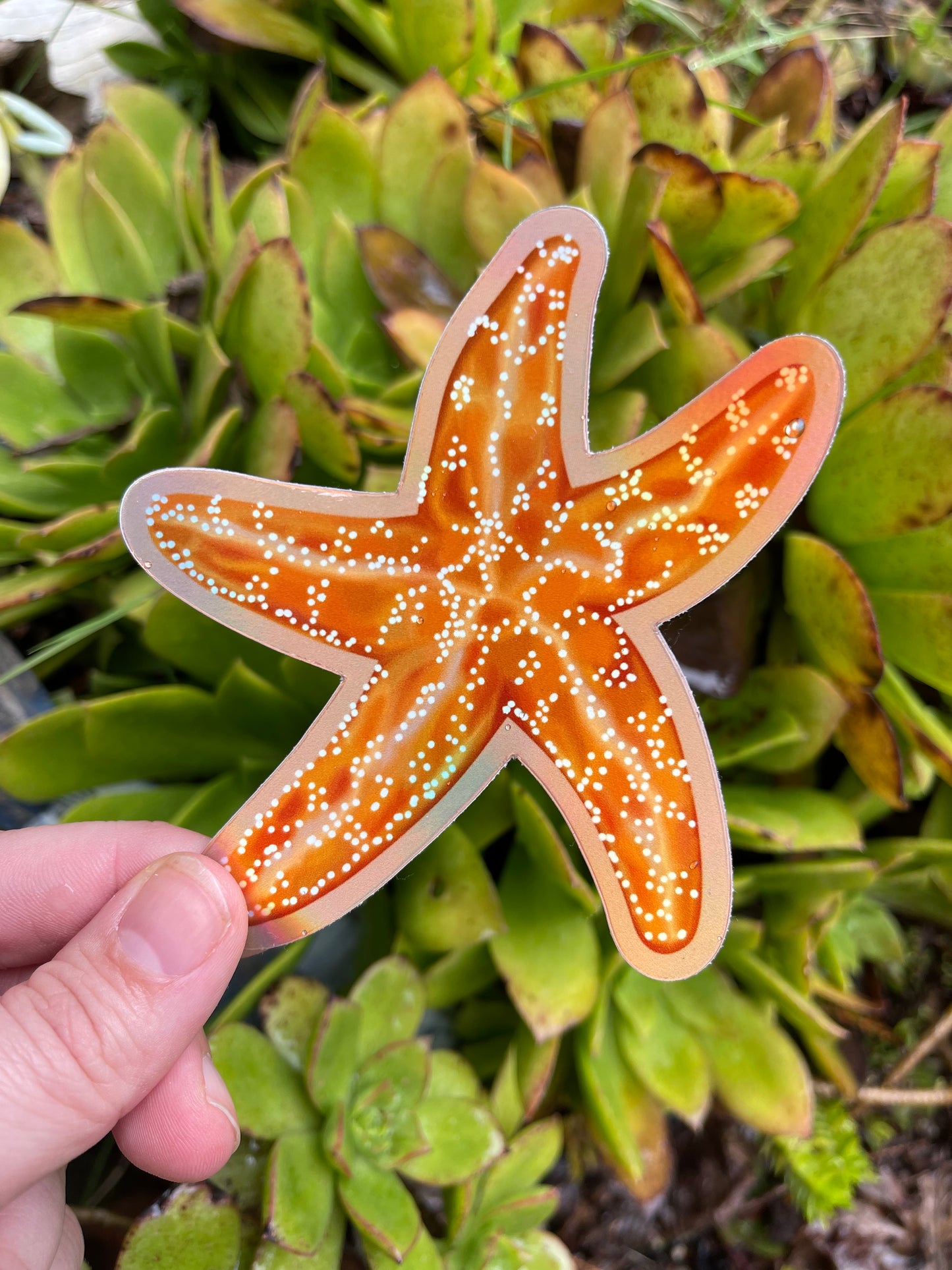 Orange Holographic Starfish Sticker