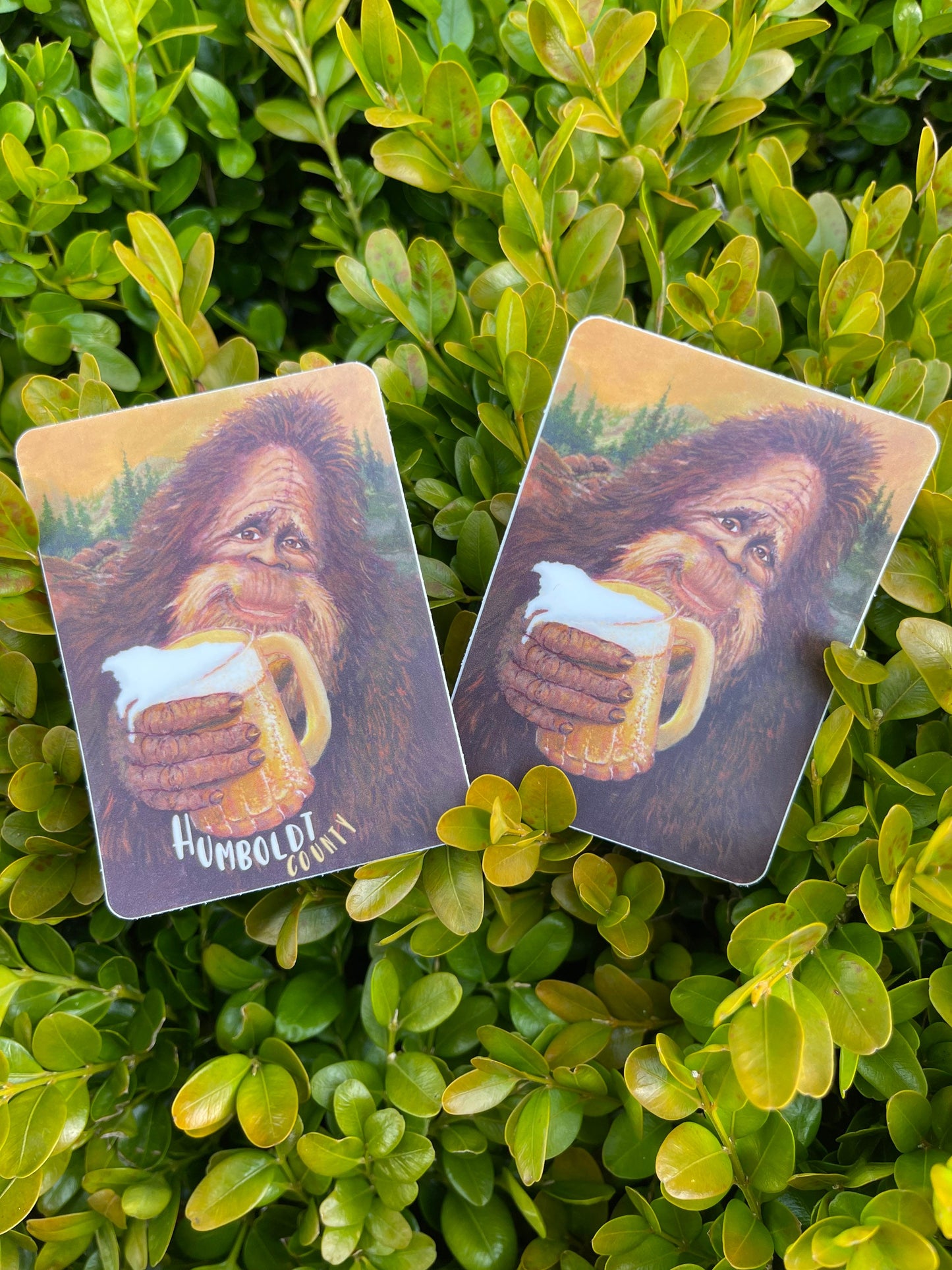 Humboldt Bigfoot Drinking Beer