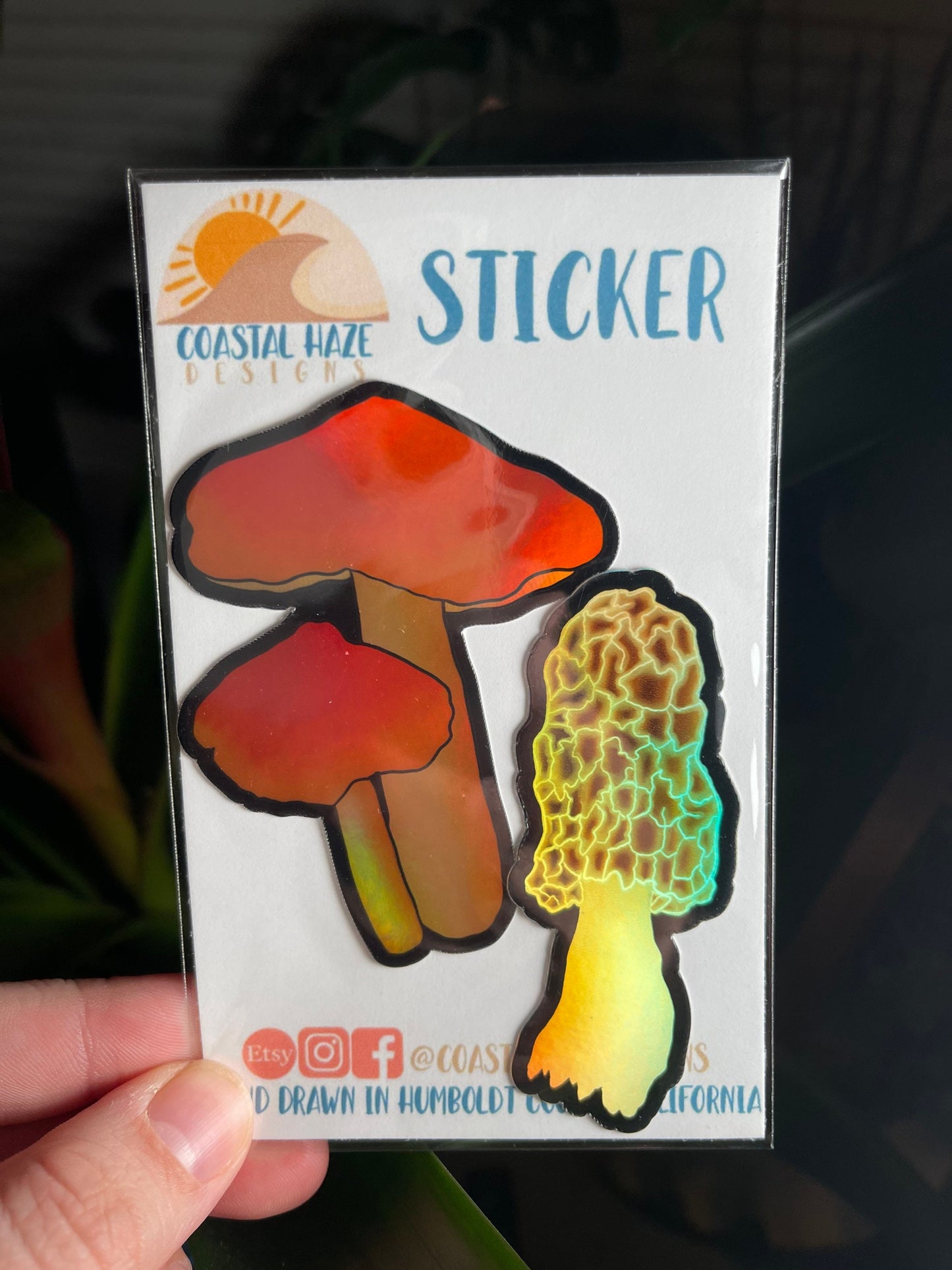 Holographic Morel and Scarlet Waxy Cap