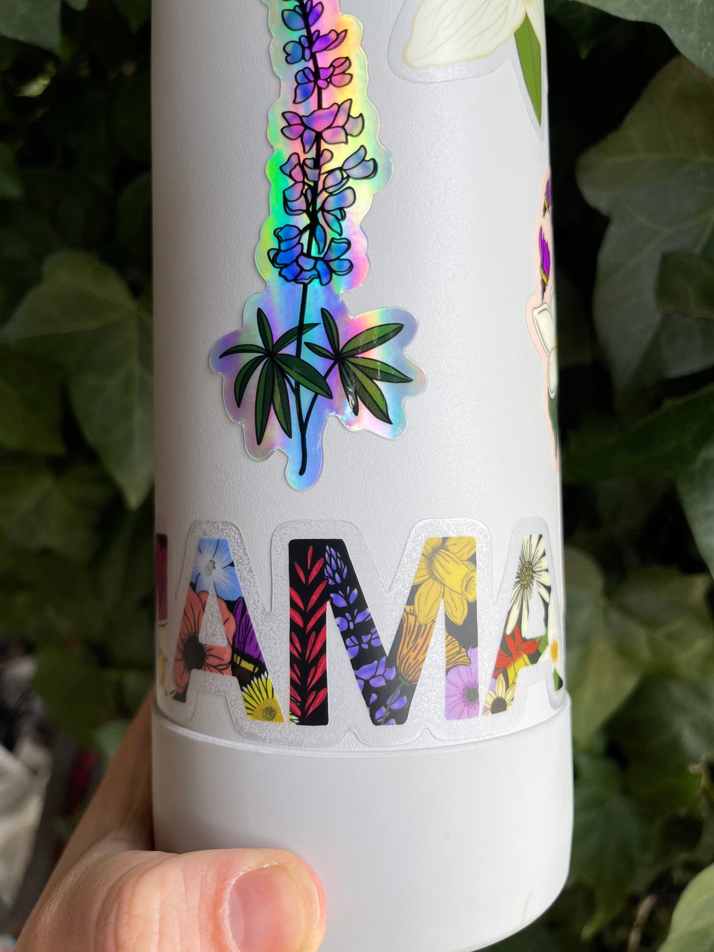 MAMA