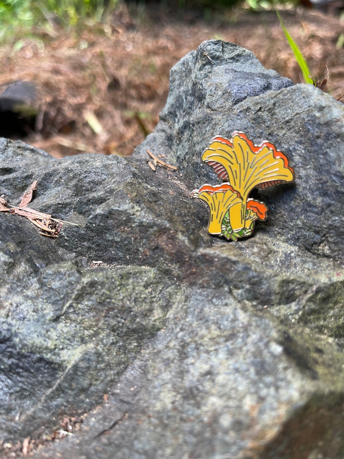 Chanterelle Pin