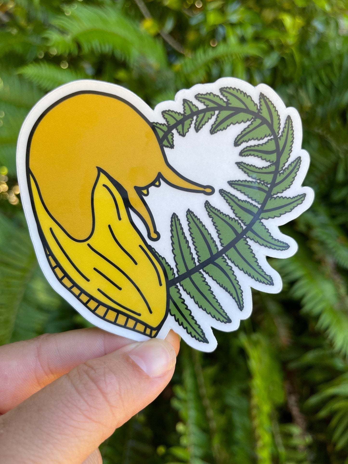 Banana Slug and Fern Sticker