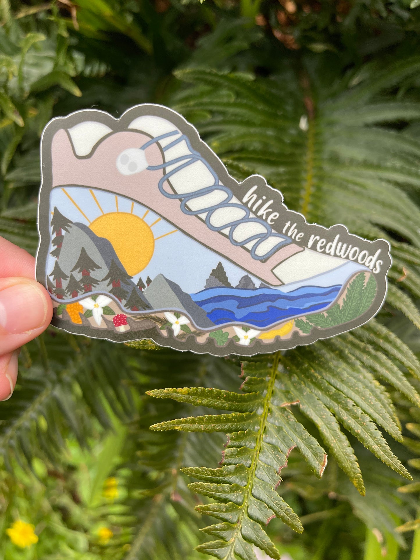 Hike the Redwoods Sticker