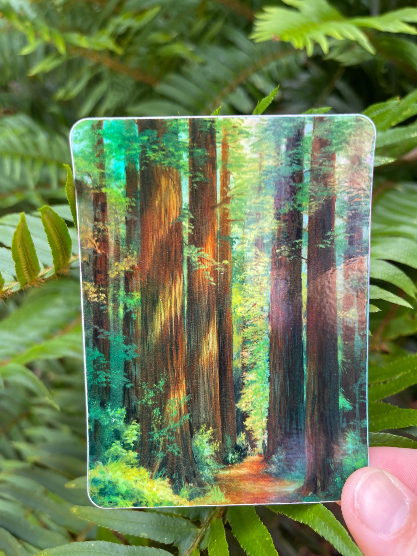 Holographic Redwood Forest Sticker