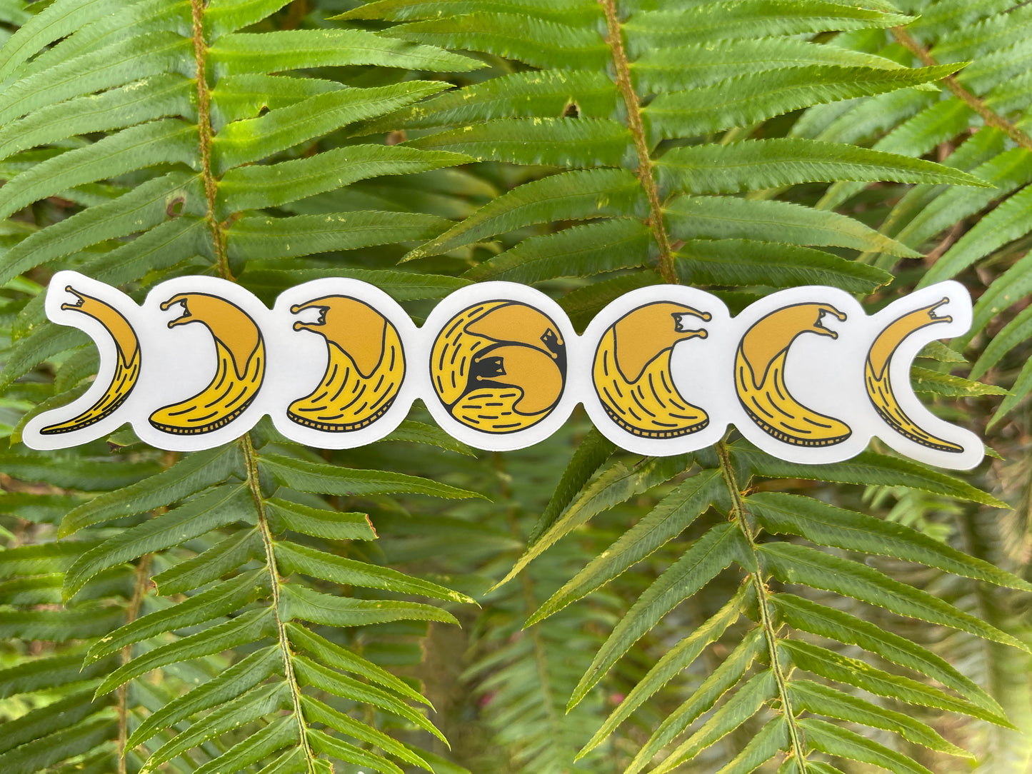 Banana Slug Moon Phase Clear Sticker