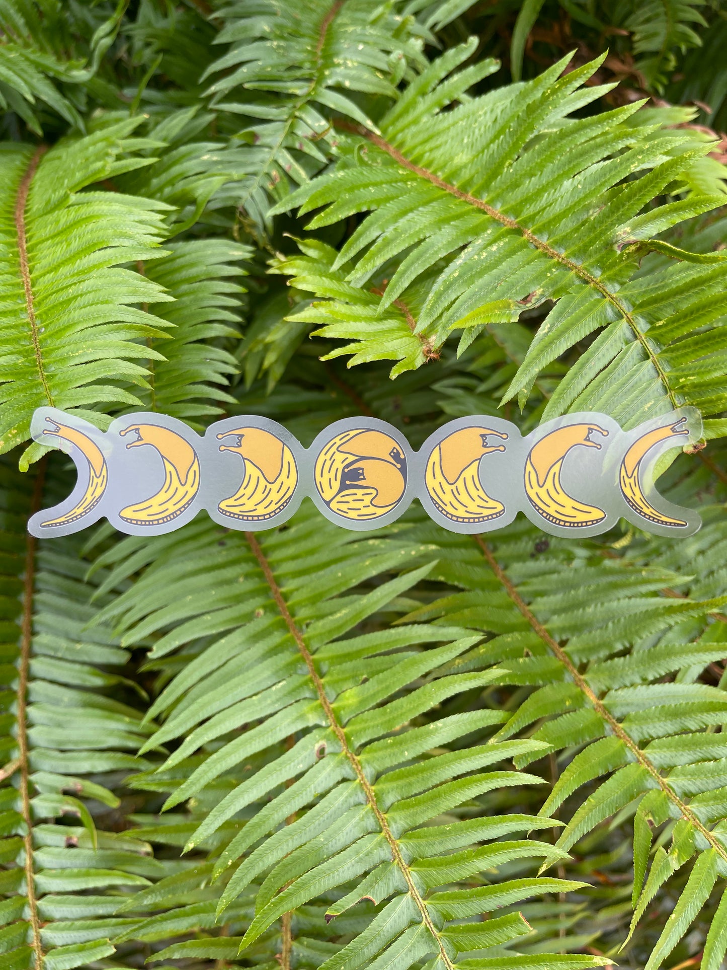 Banana Slug Moon Phase Clear Sticker