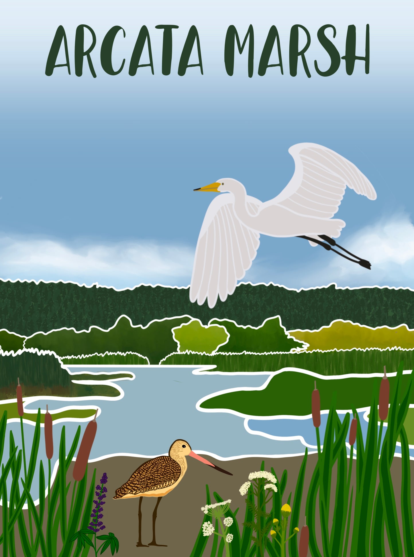 Arcata Marsh Magnet