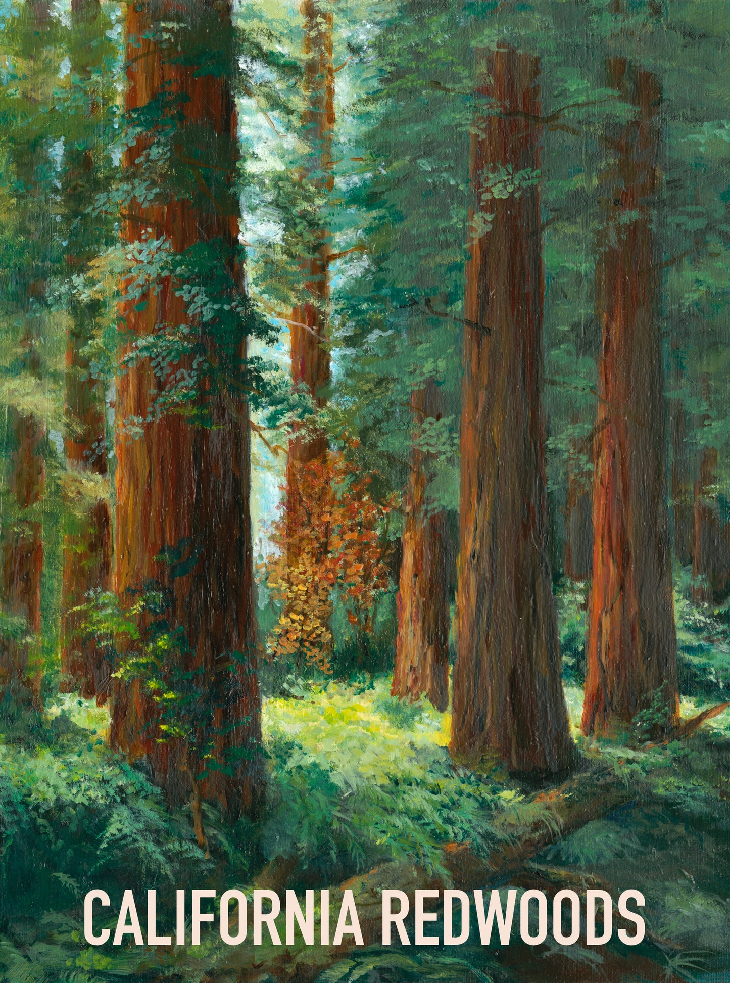 California Redwoods Magnet