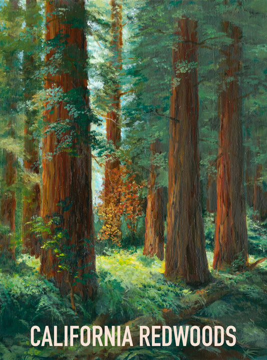 California Redwoods Magnet