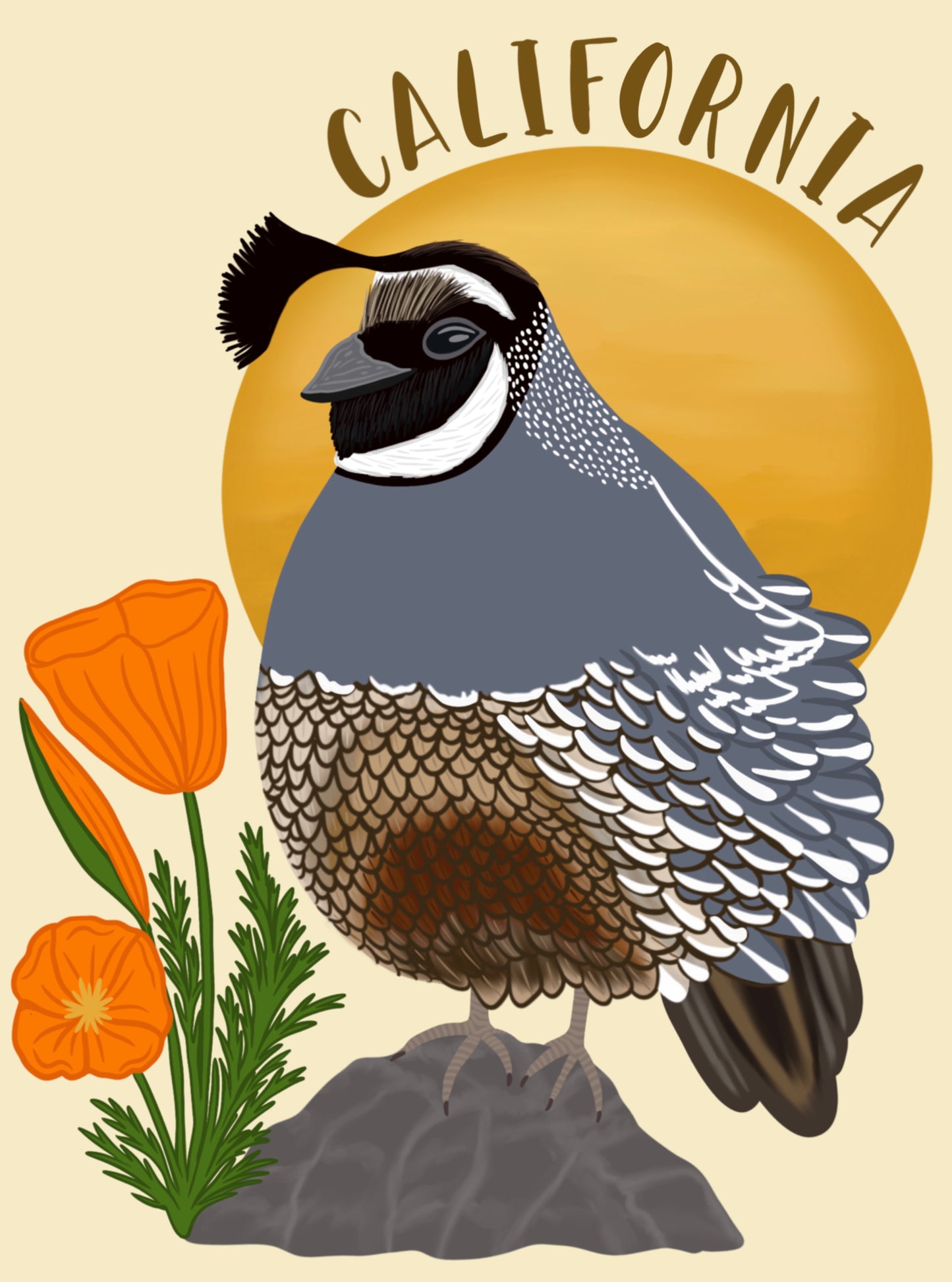 California Quail Magnet