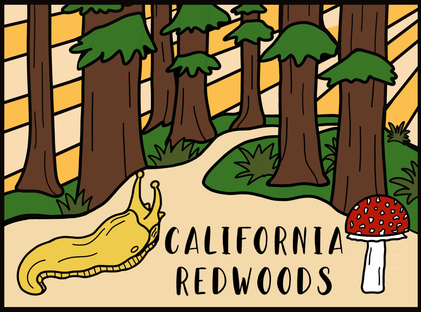 California Redwoods Magnet