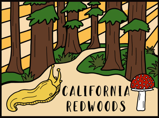 California Redwoods Magnet