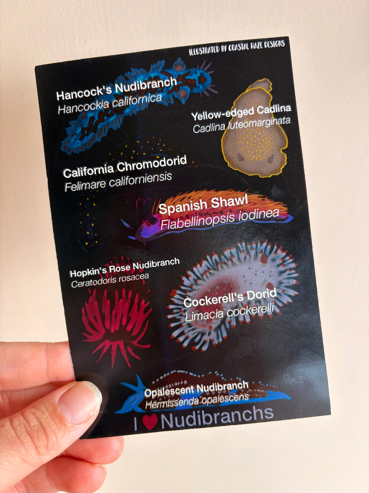 I Heart Nudibranchs Holographic Sticker Sheet