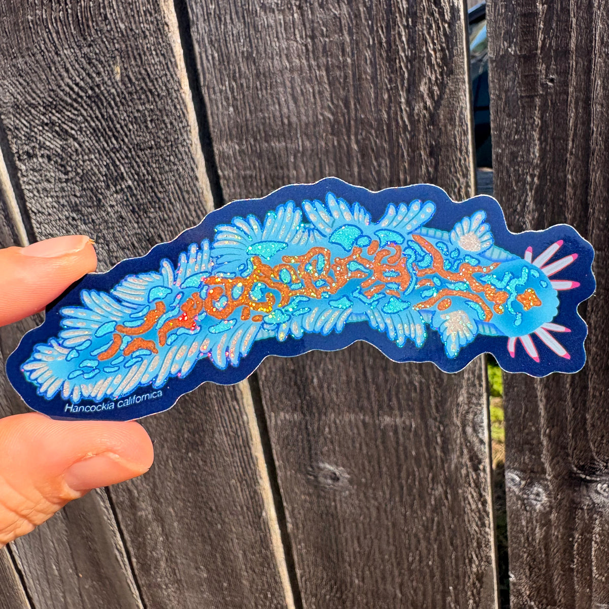 Glitter Nudibranch Sticker (Hancock's Nudibranch)