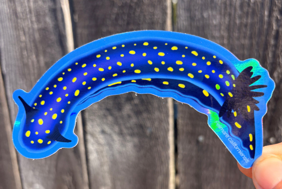 Holographic Nudibranch Sticker (California Chromodorid)