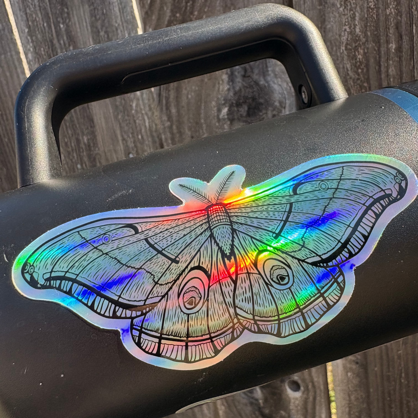 Moth Holographic Sticker