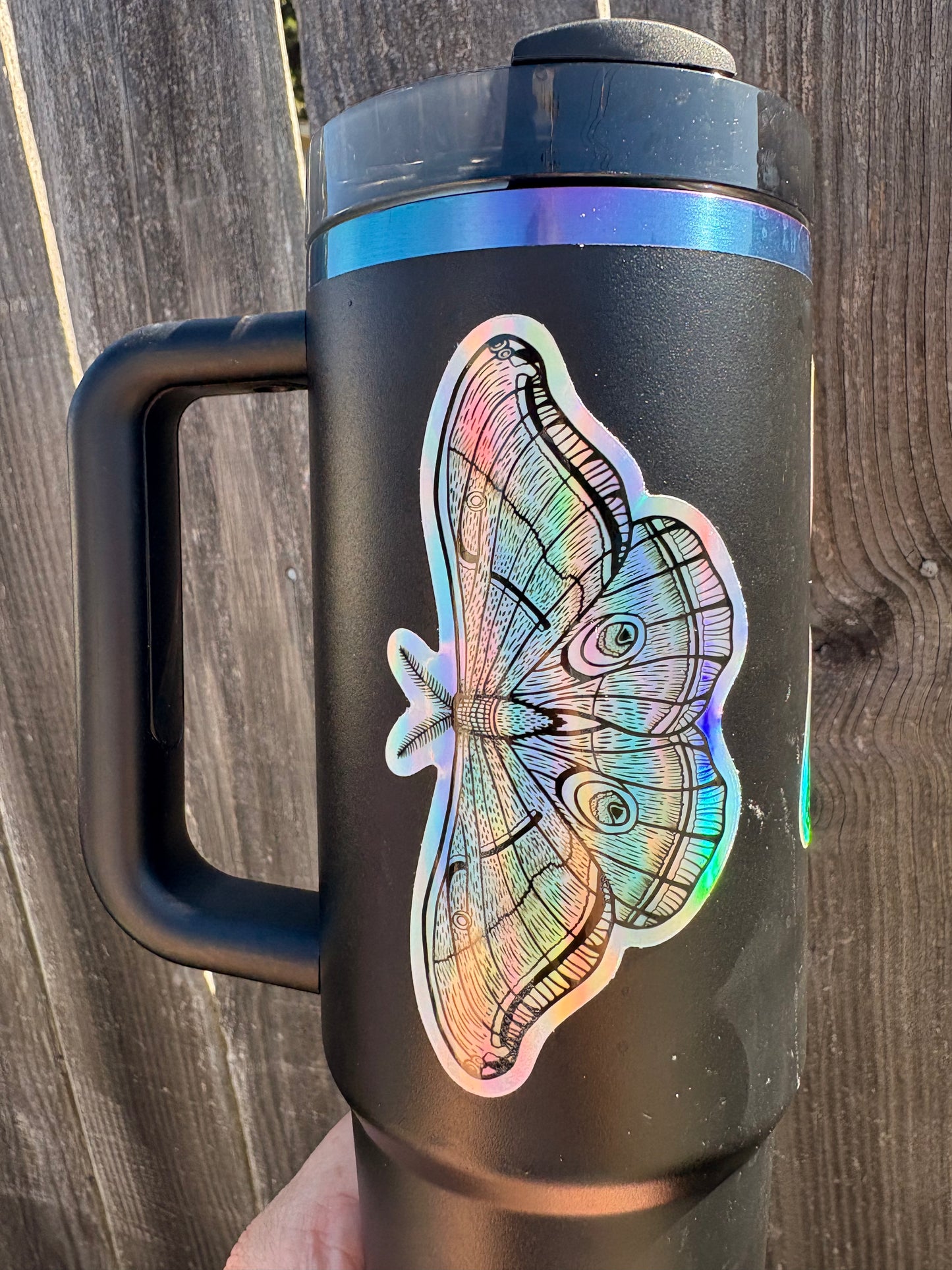 Moth Holographic Sticker