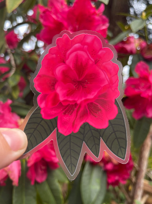 Pink Rhododendron Sticker