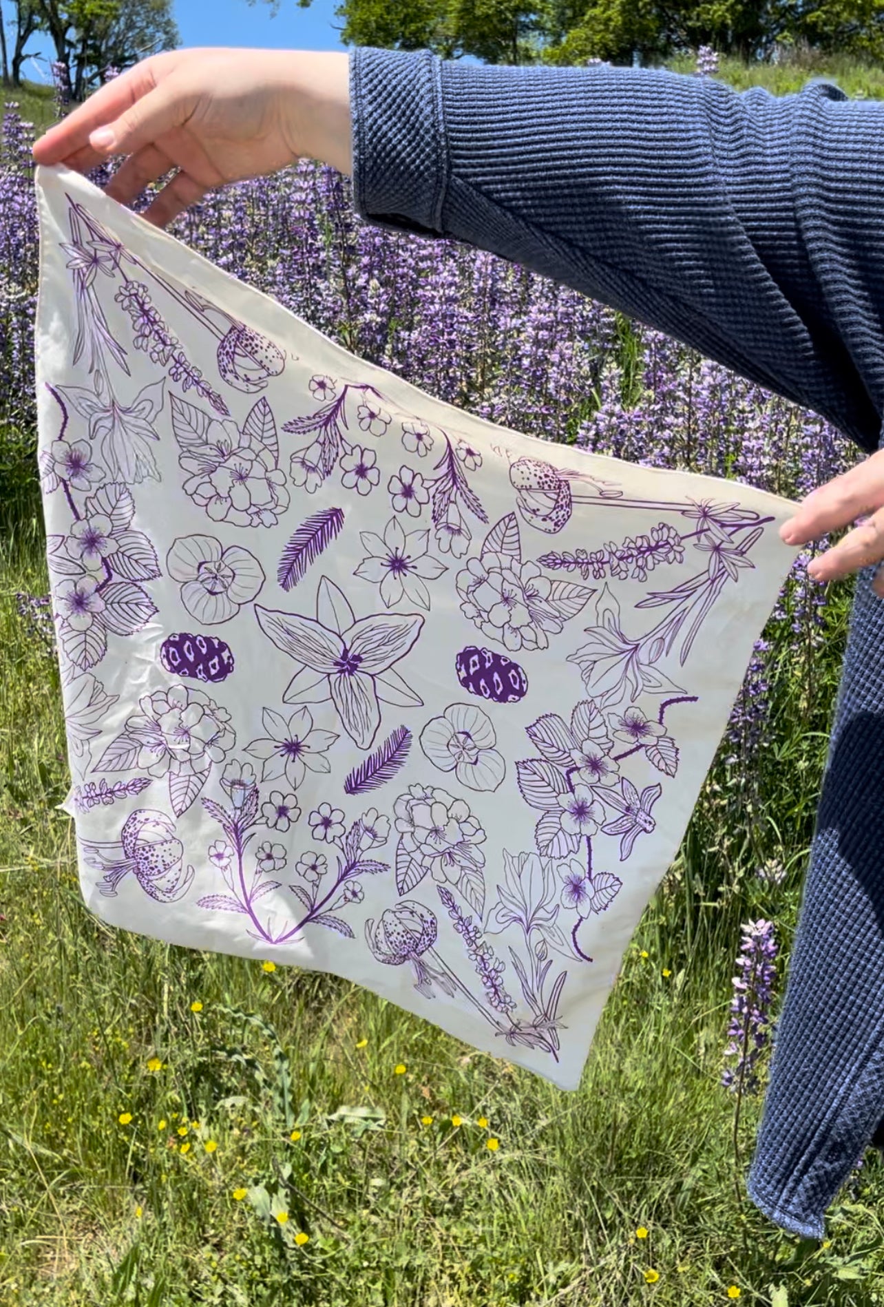 Wildflowers of the Redwood Forest Bandana