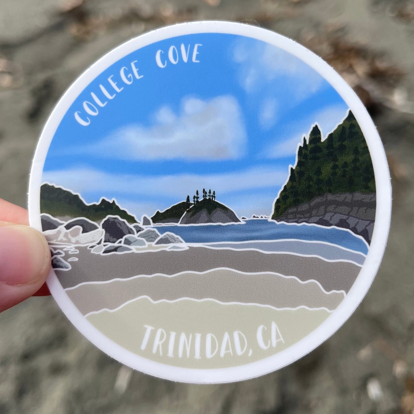 College Cove Vinyl Sticker