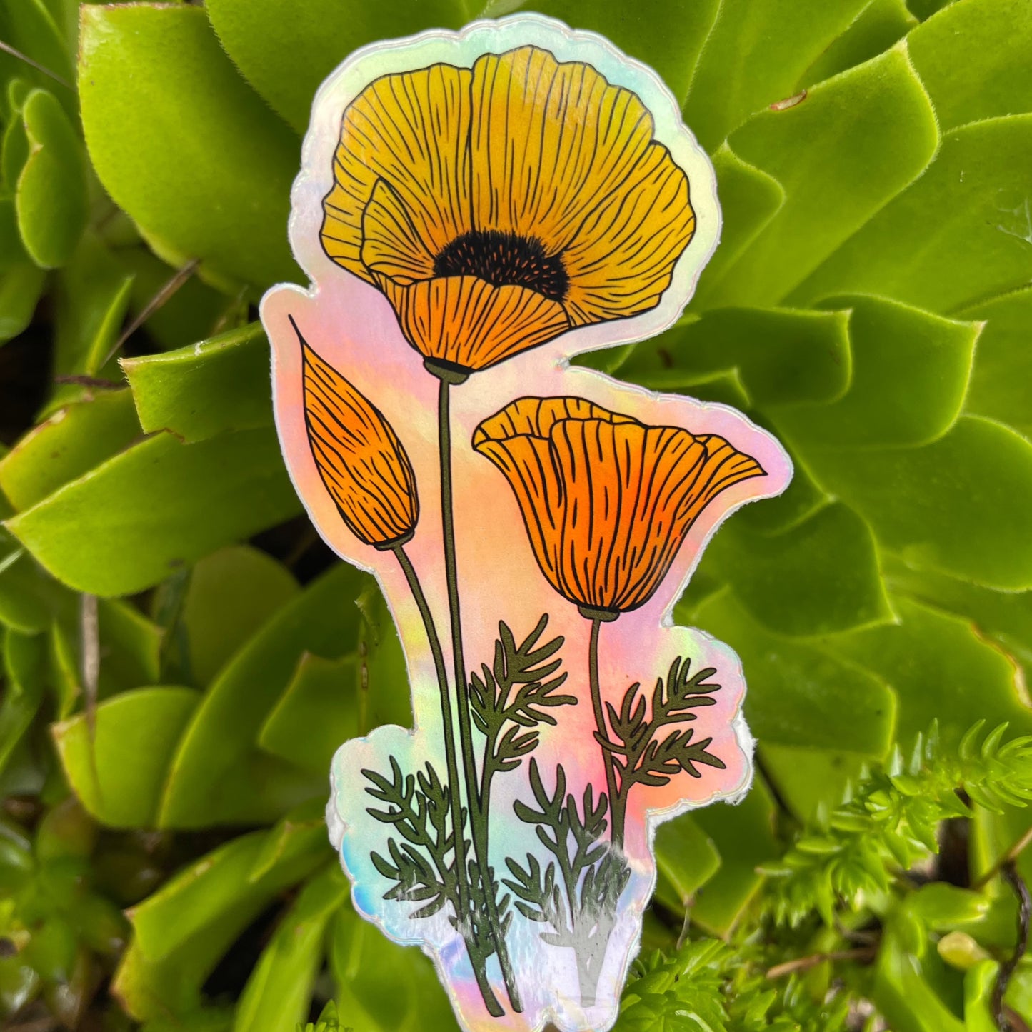 Holographic Poppy Sticker