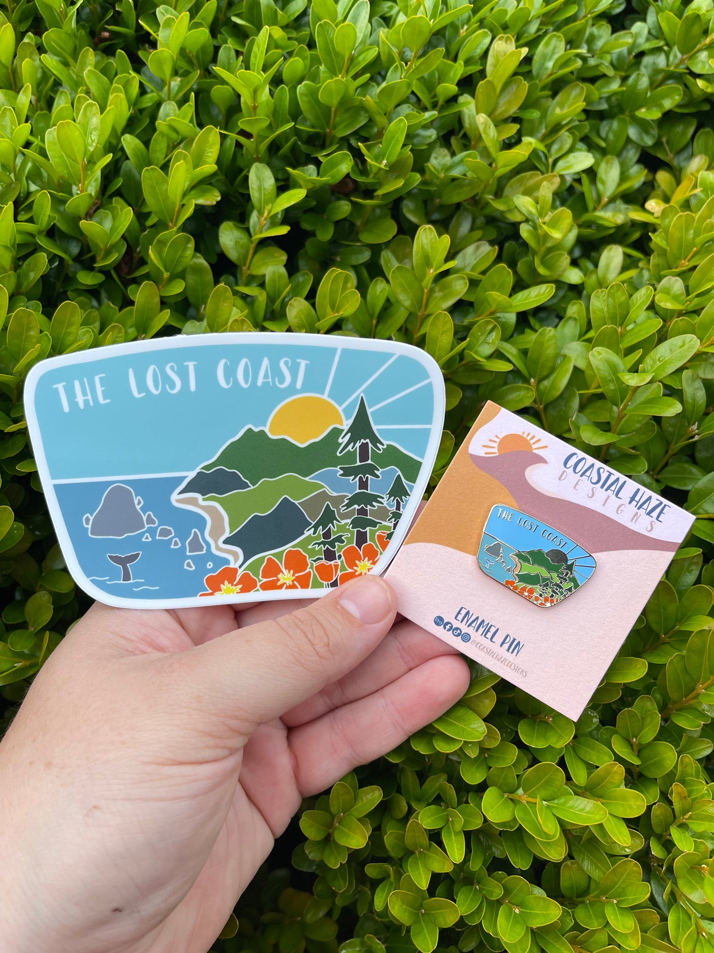 The Lost Coast Enamel Pin