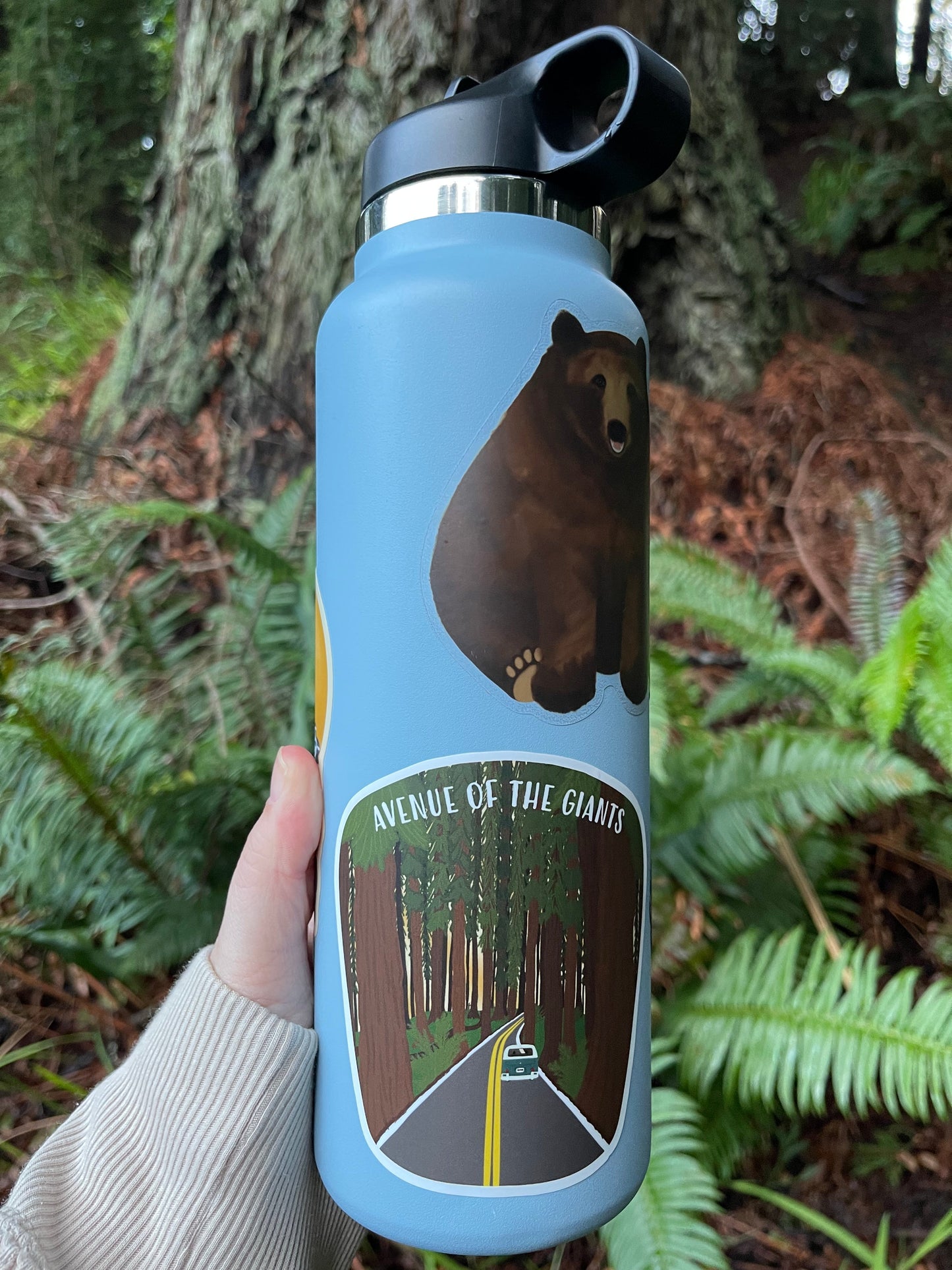 Avenue of the Giants Sticker