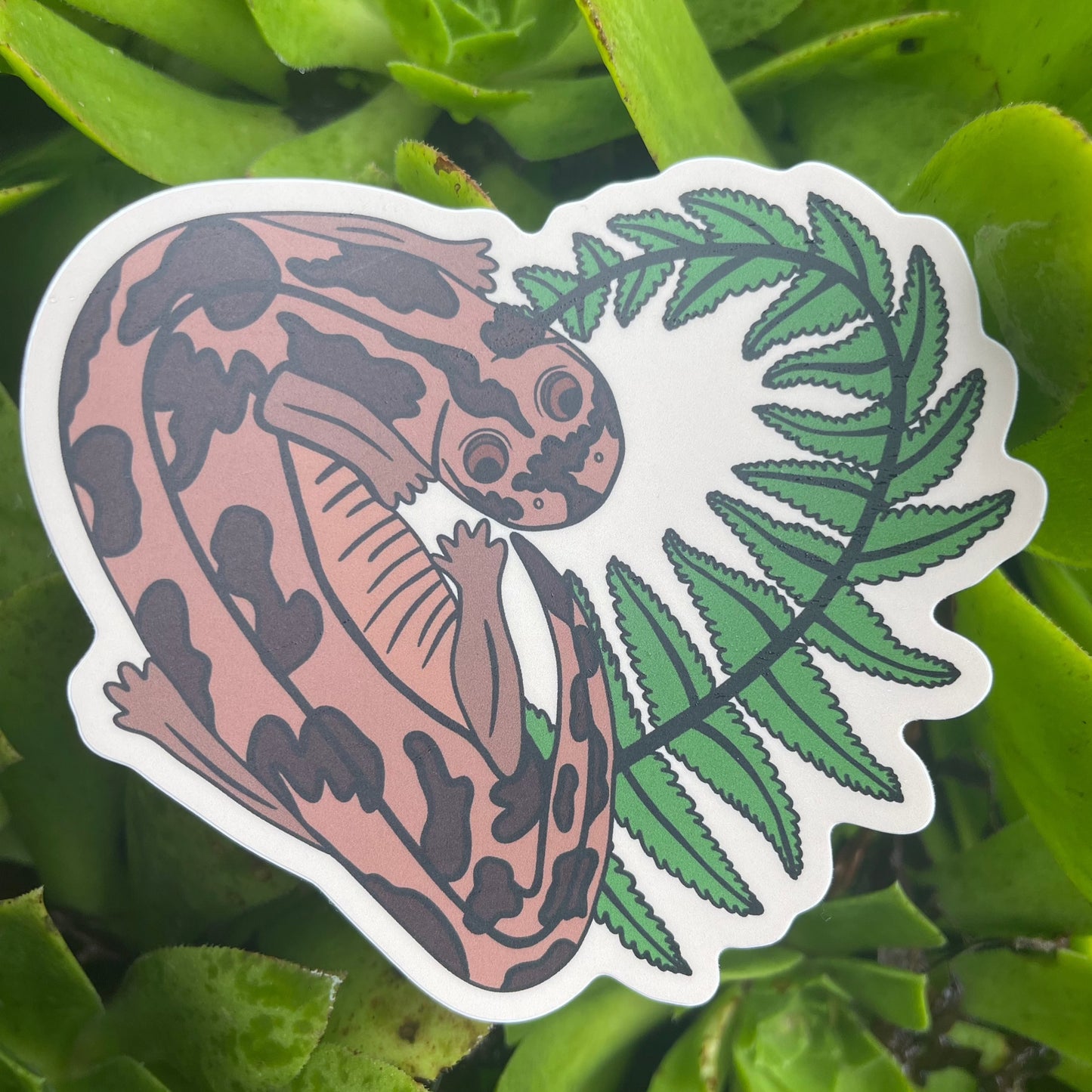 Coastal Giant Salamander and Fern Sticker