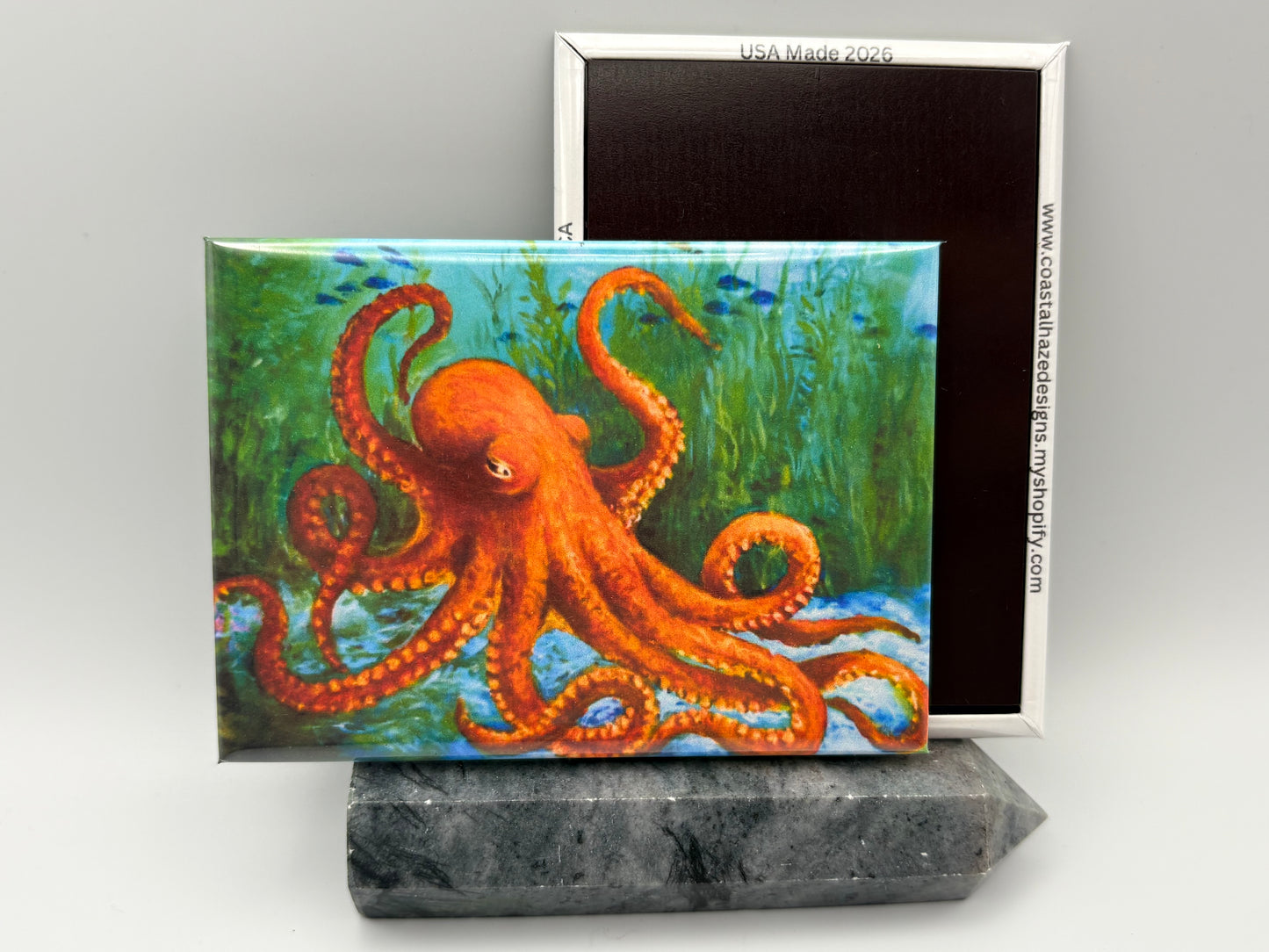 Octopus Magnet
