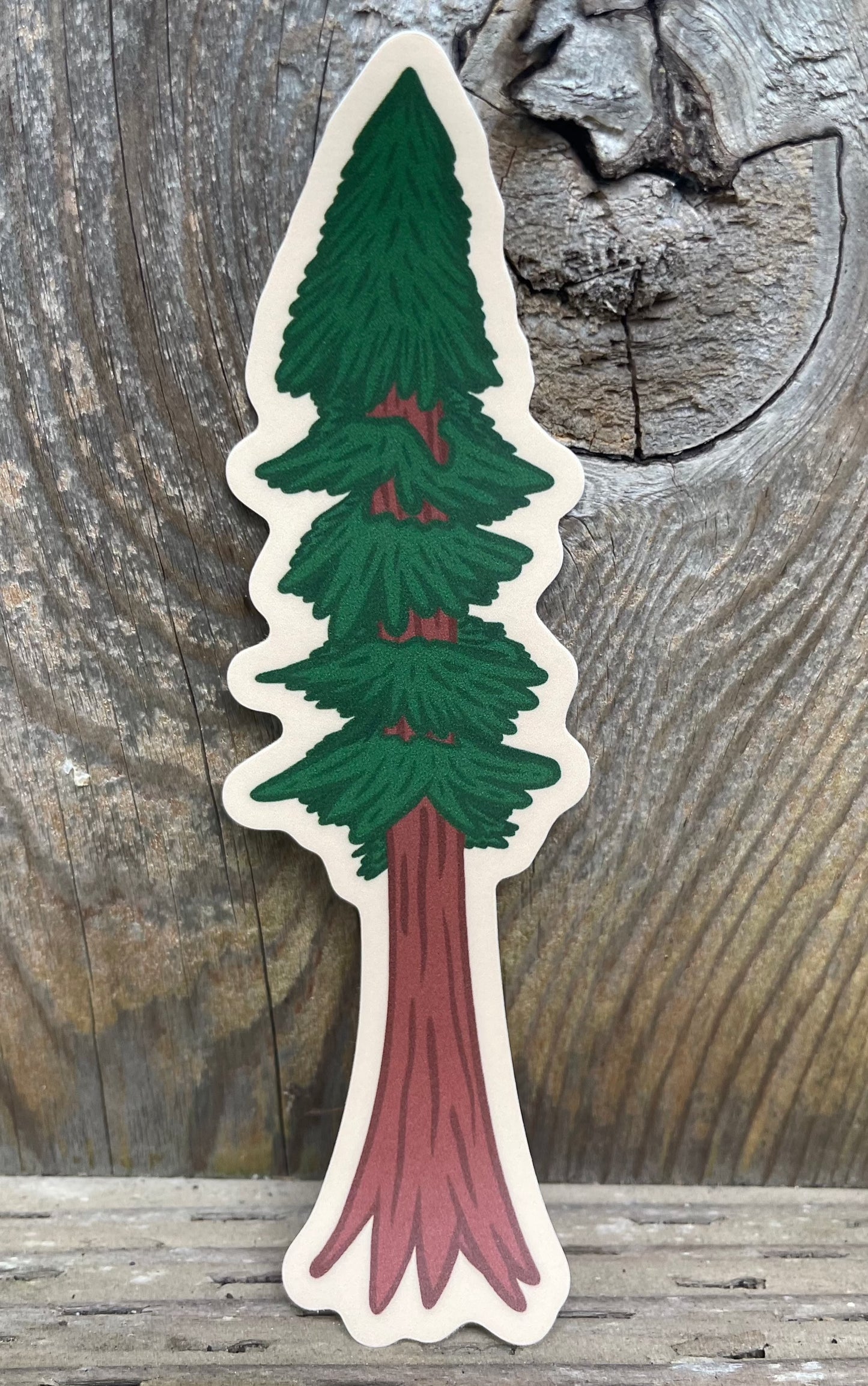 Redwood Tree Sticker