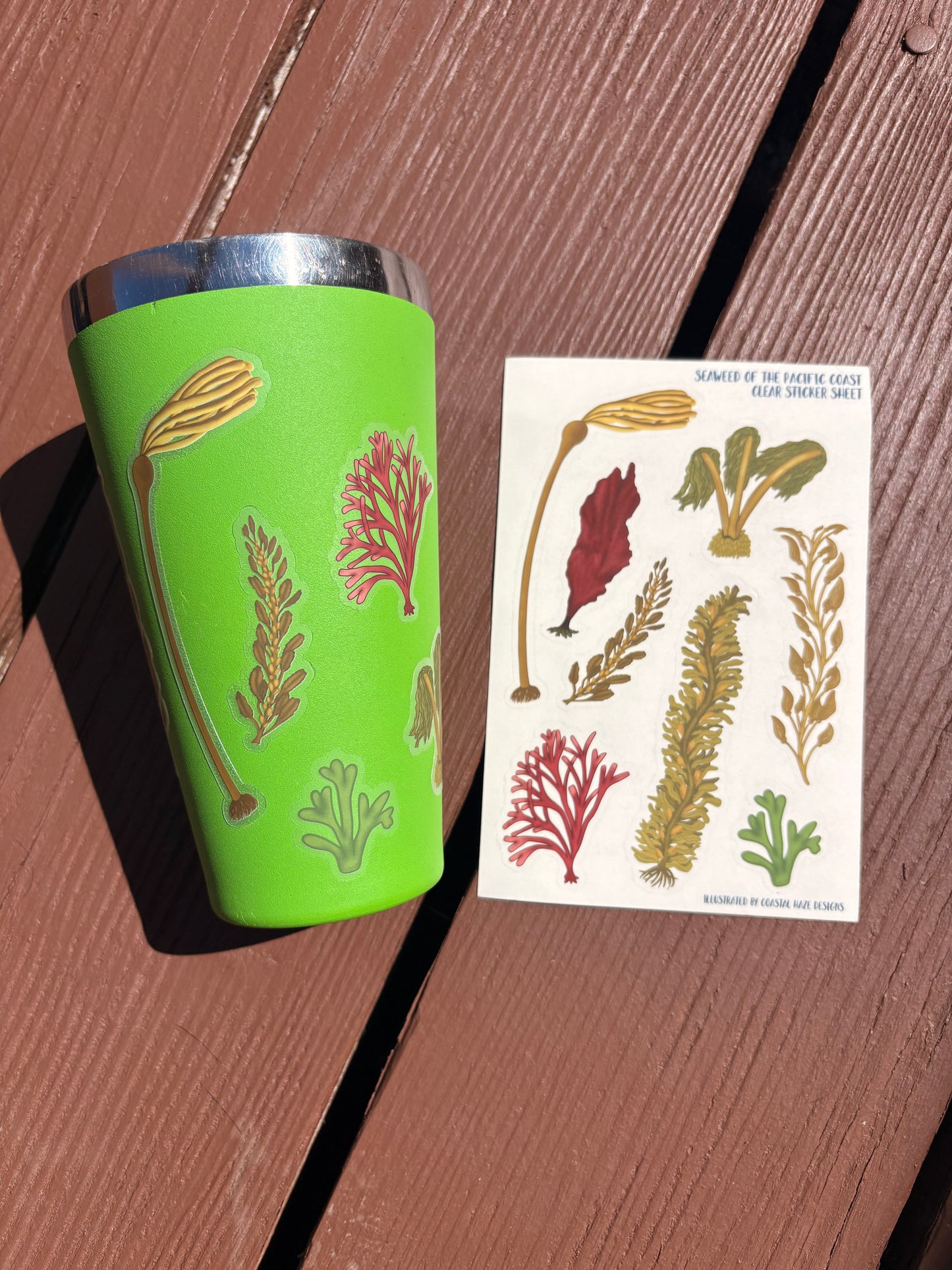Seaweed of the Pacific Coast Clear Sticker Sheet