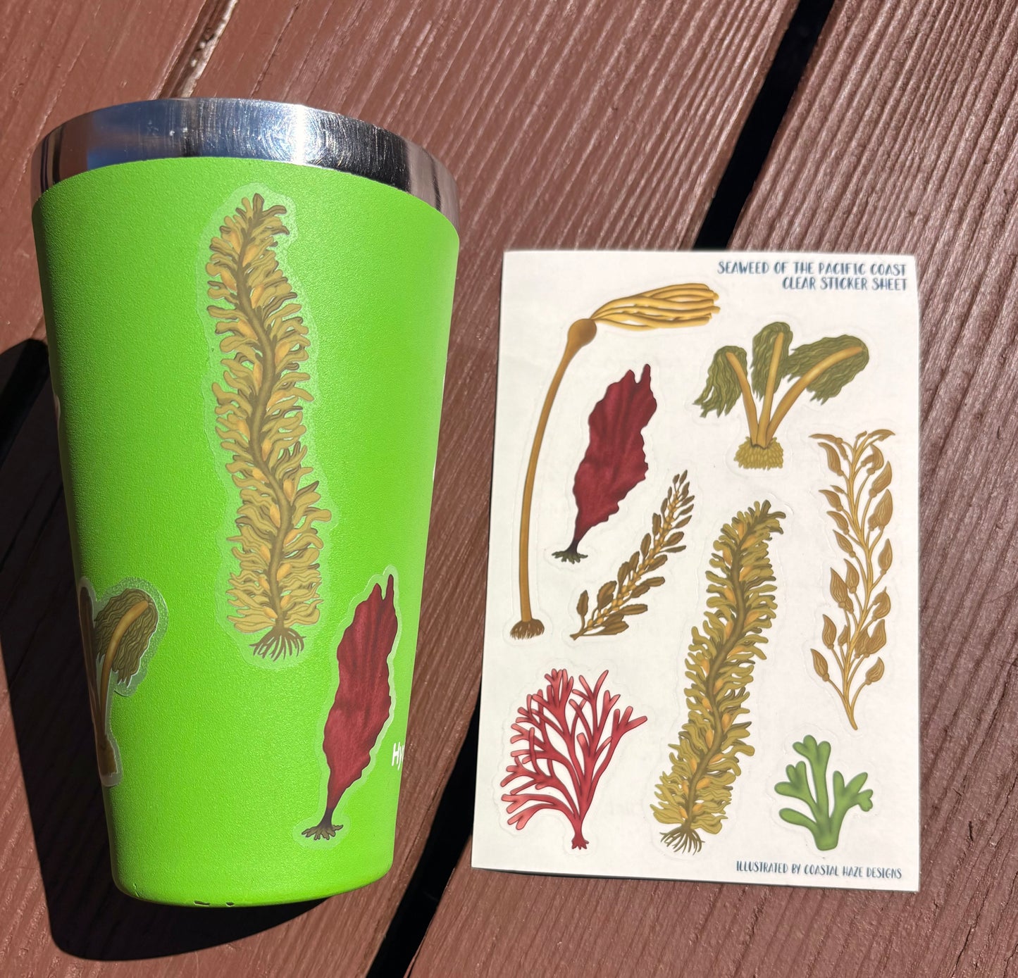 Seaweed of the Pacific Coast Clear Sticker Sheet