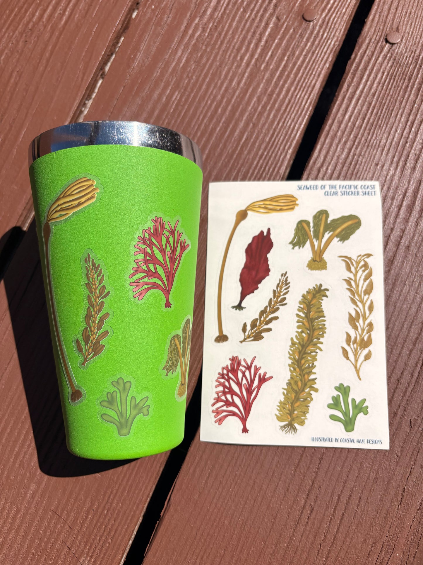 Seaweed of the Pacific Coast Clear Sticker Sheet