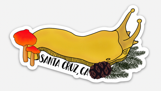 Santa Cruz, CA Banana Slug Sticker