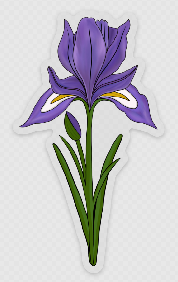 Douglas Iris Clear Sticker