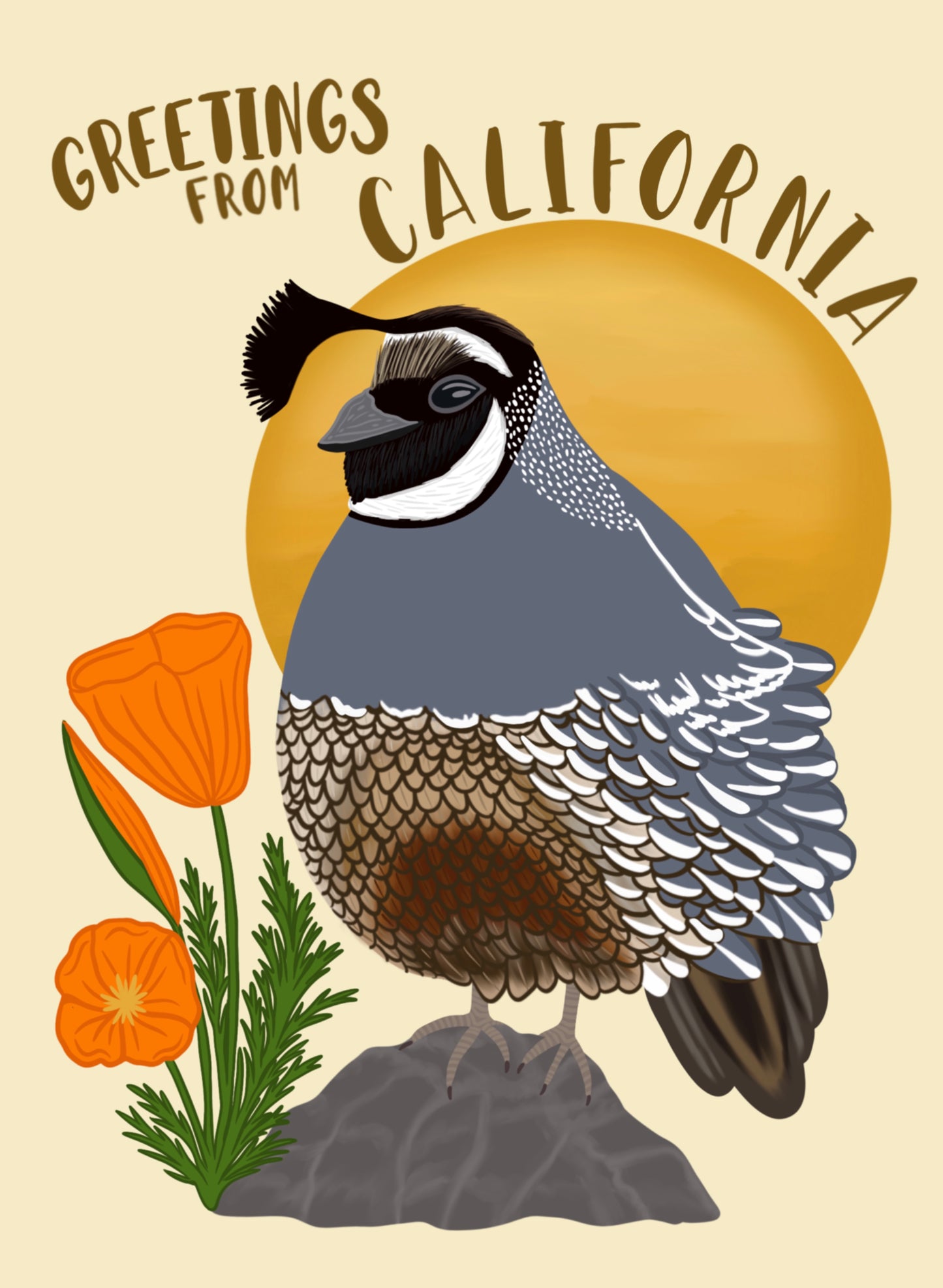 Greetings from California Quail Postcard