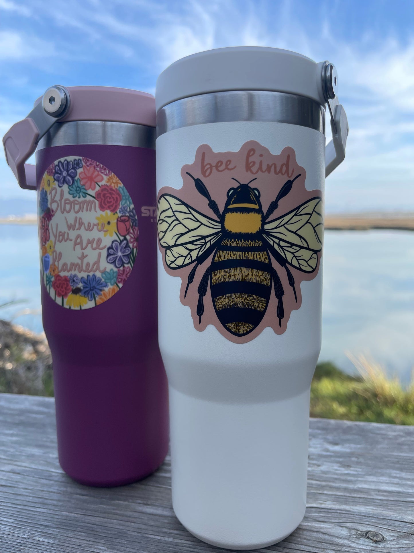 Bee Kind Sticker