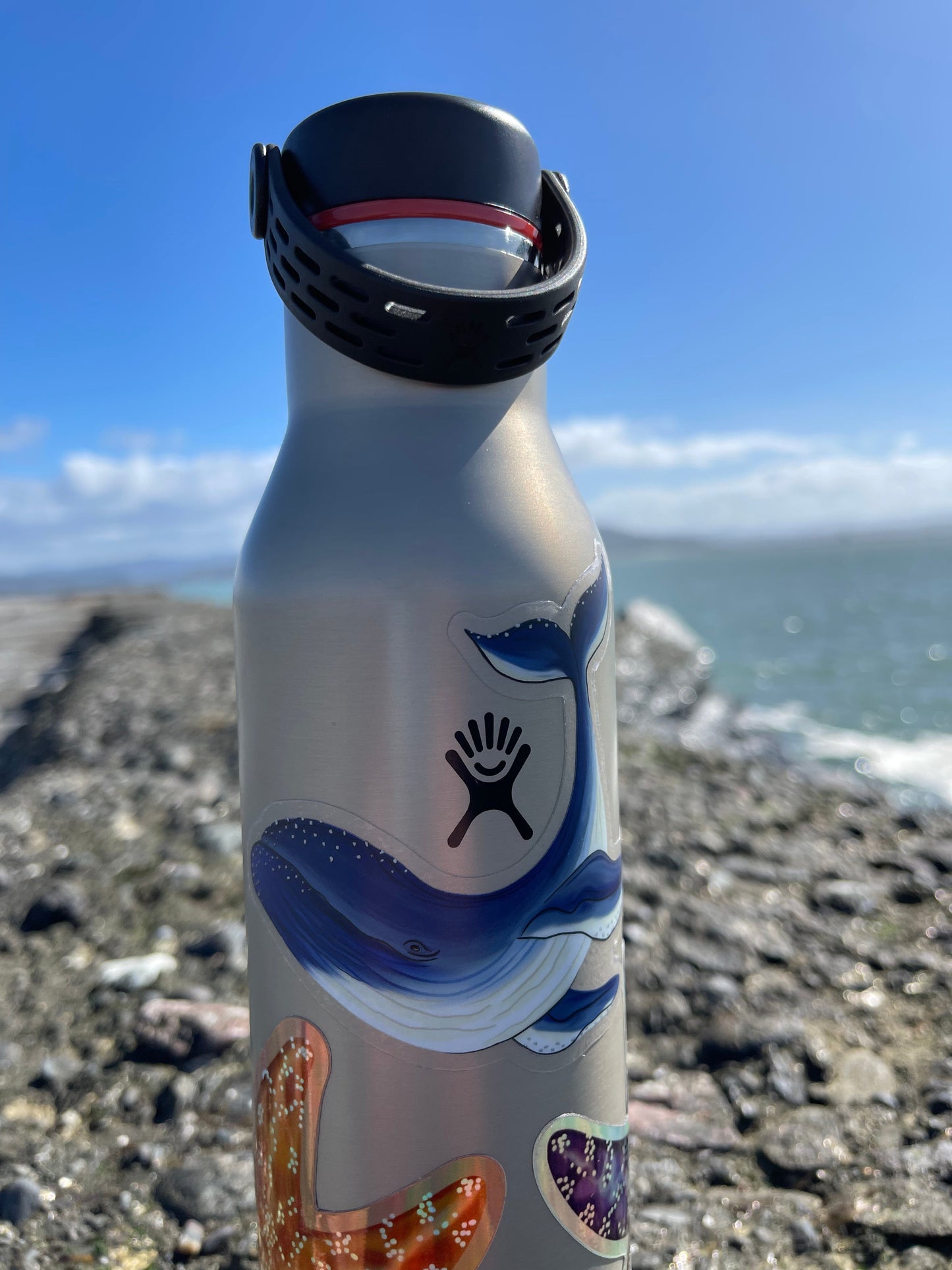 Humpback Whale Sticker