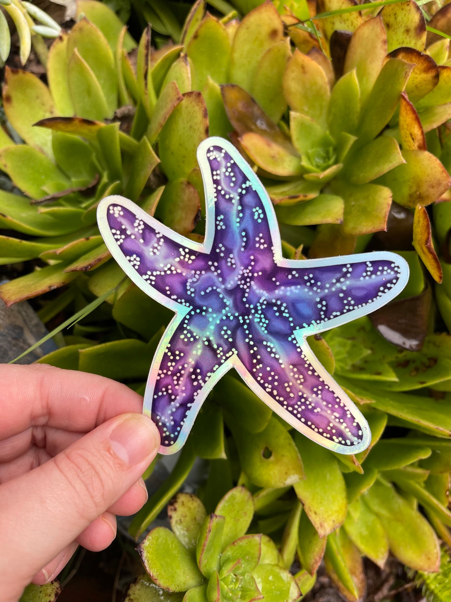 Purple Holographic Starfish Sticker