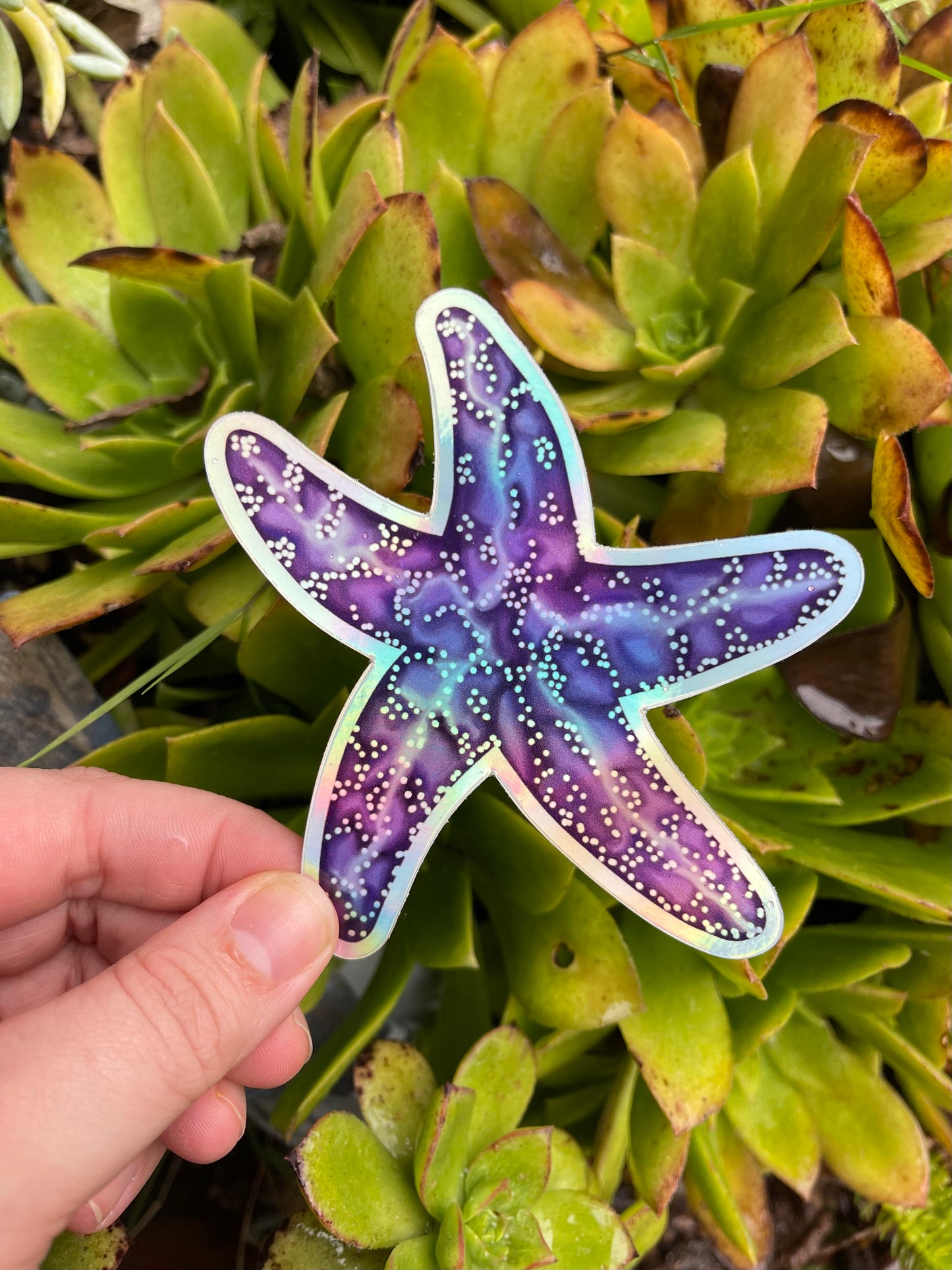 Purple Starfish Sticker
