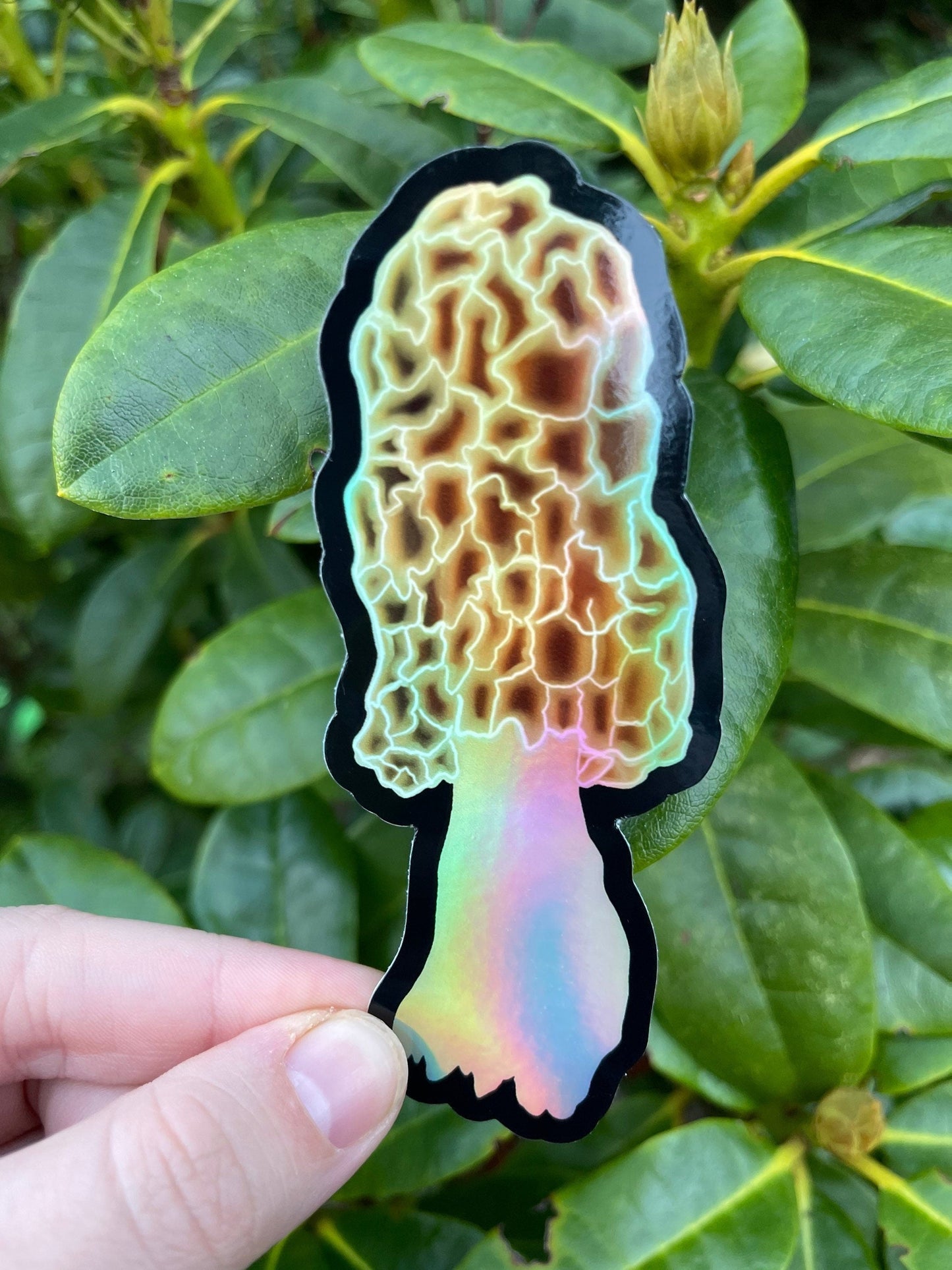 Holographic Morel Mushroom Sticker