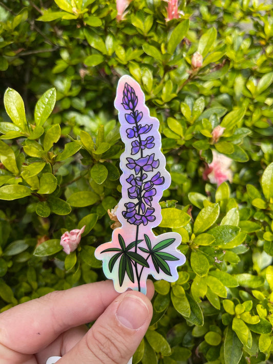 Holographic Lupine
