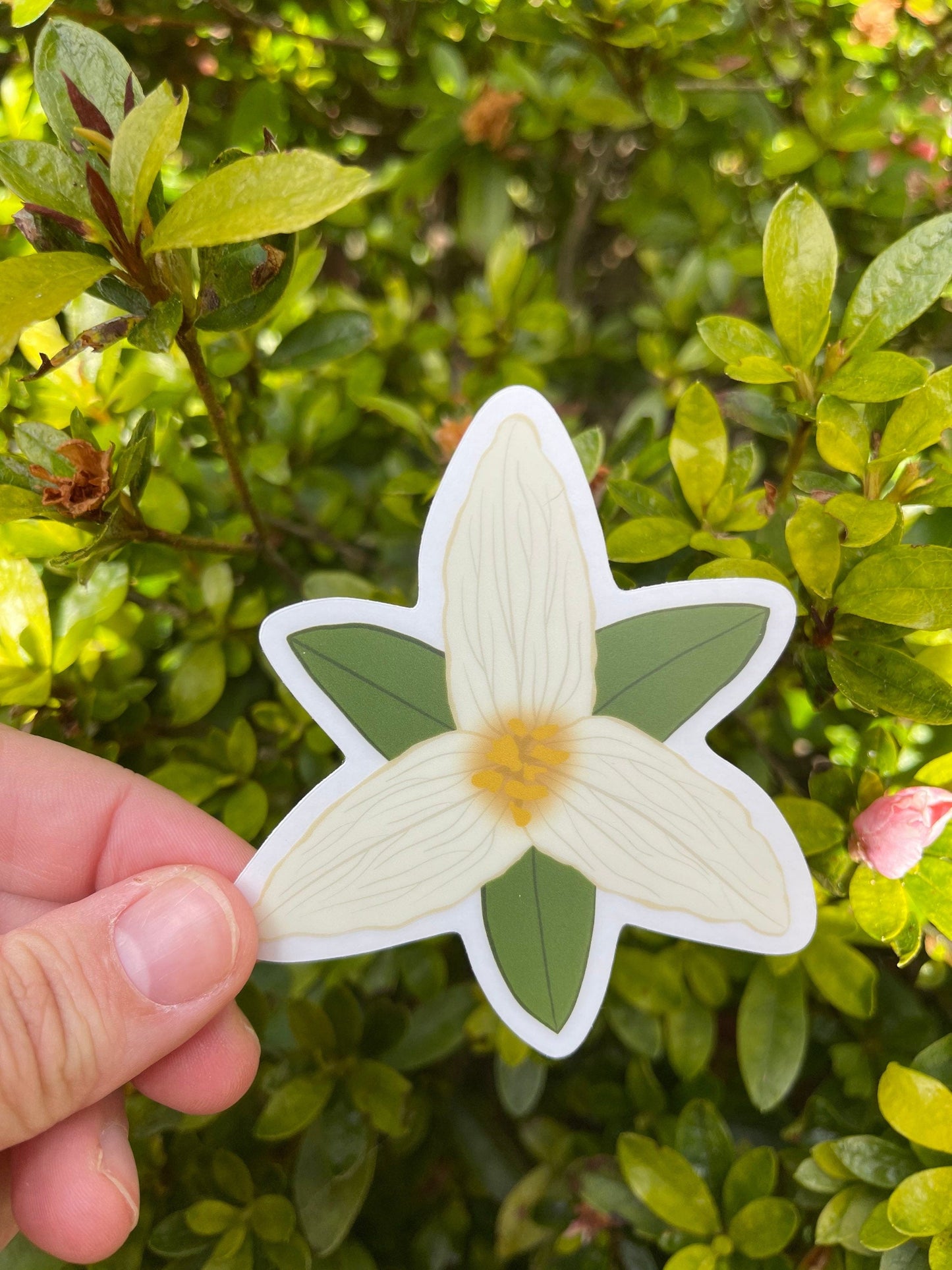 White Trillium Sticker