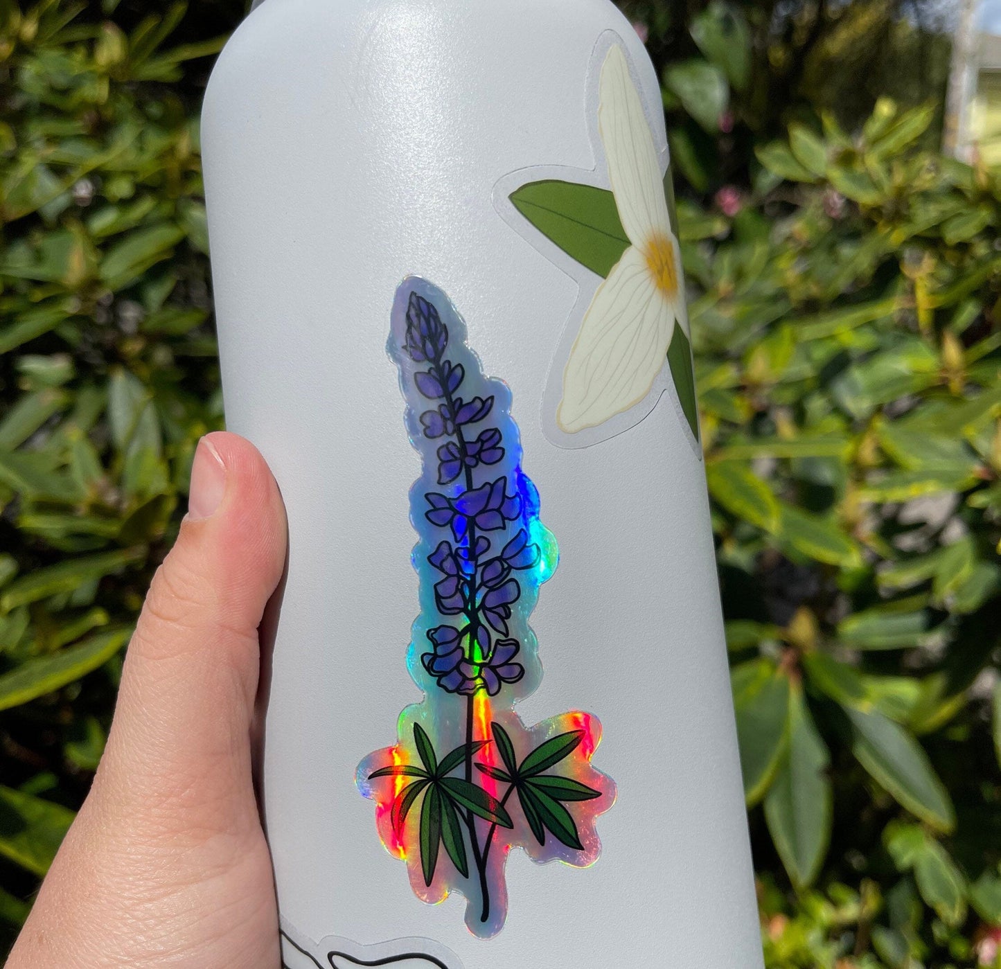 Holographic Lupine Sticker